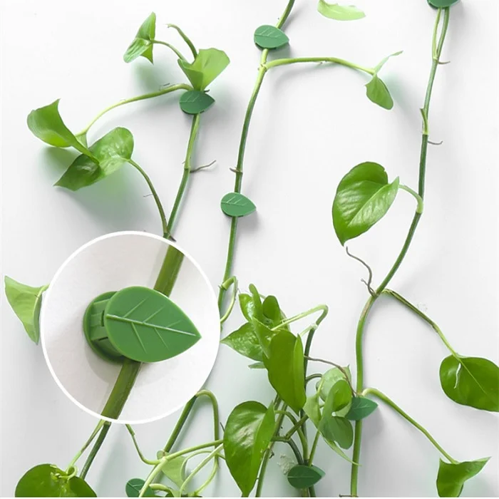 10 Pcs Leaf Shape Climbing Plant, Wall Vine Climbing Plant Support Hook Self-Adhesive Vines Traction Clips Leaf Shape Plant Fixer, Wire Fixing Cable Organizer with Adhesive Sticker - Image 3
