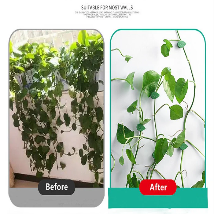 10 Pcs Leaf Shape Climbing Plant, Wall Vine Climbing Plant Support Hook Self-Adhesive Vines Traction Clips Leaf Shape Plant Fixer, Wire Fixing Cable Organizer with Adhesive Sticker - Image 4