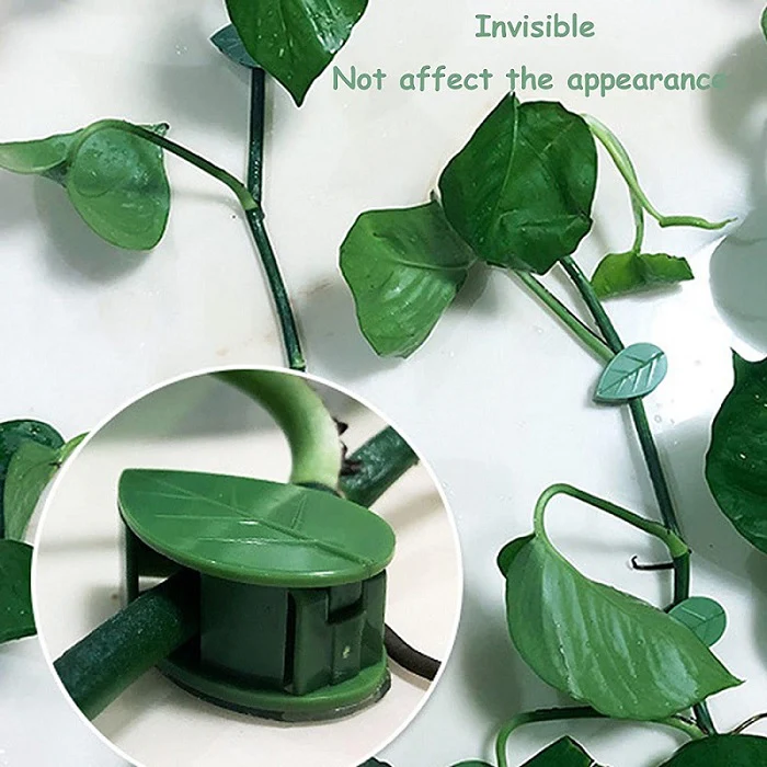 10 Pcs Leaf Shape Climbing Plant, Wall Vine Climbing Plant Support Hook Self-Adhesive Vines Traction Clips Leaf Shape Plant Fixer, Wire Fixing Cable Organizer with Adhesive Sticker - Image 6