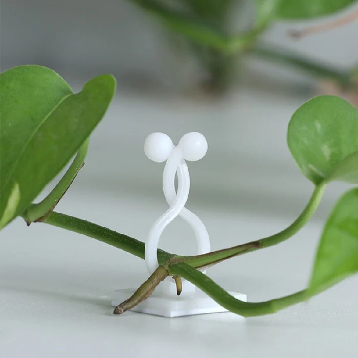 30 Pcs Vine Plant Climbing Clips – Large Invisible Wall Hooks for Plant Support & Binding - Image 10
