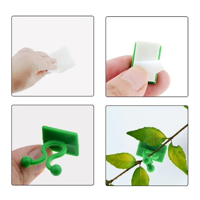 30 Pcs Vine Plant Climbing Clips – Large Invisible Wall Hooks for Plant Support & Binding - Image 5